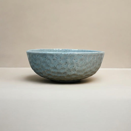 The Blue Coral Meal Bowl